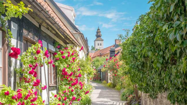 Kryssning till Visby med Birka Gotland